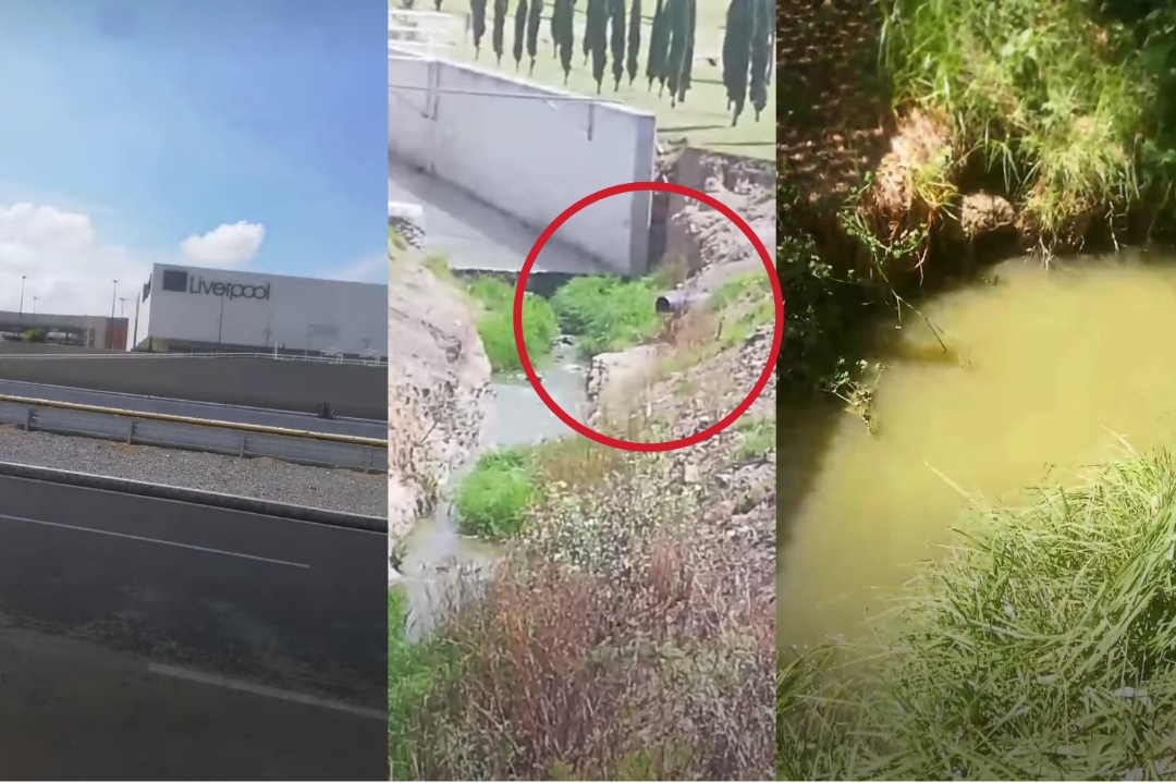 Galerías Tlaxcala contamina a Laguna de Acuitlapilco, denuncia "Patos Verdes" 