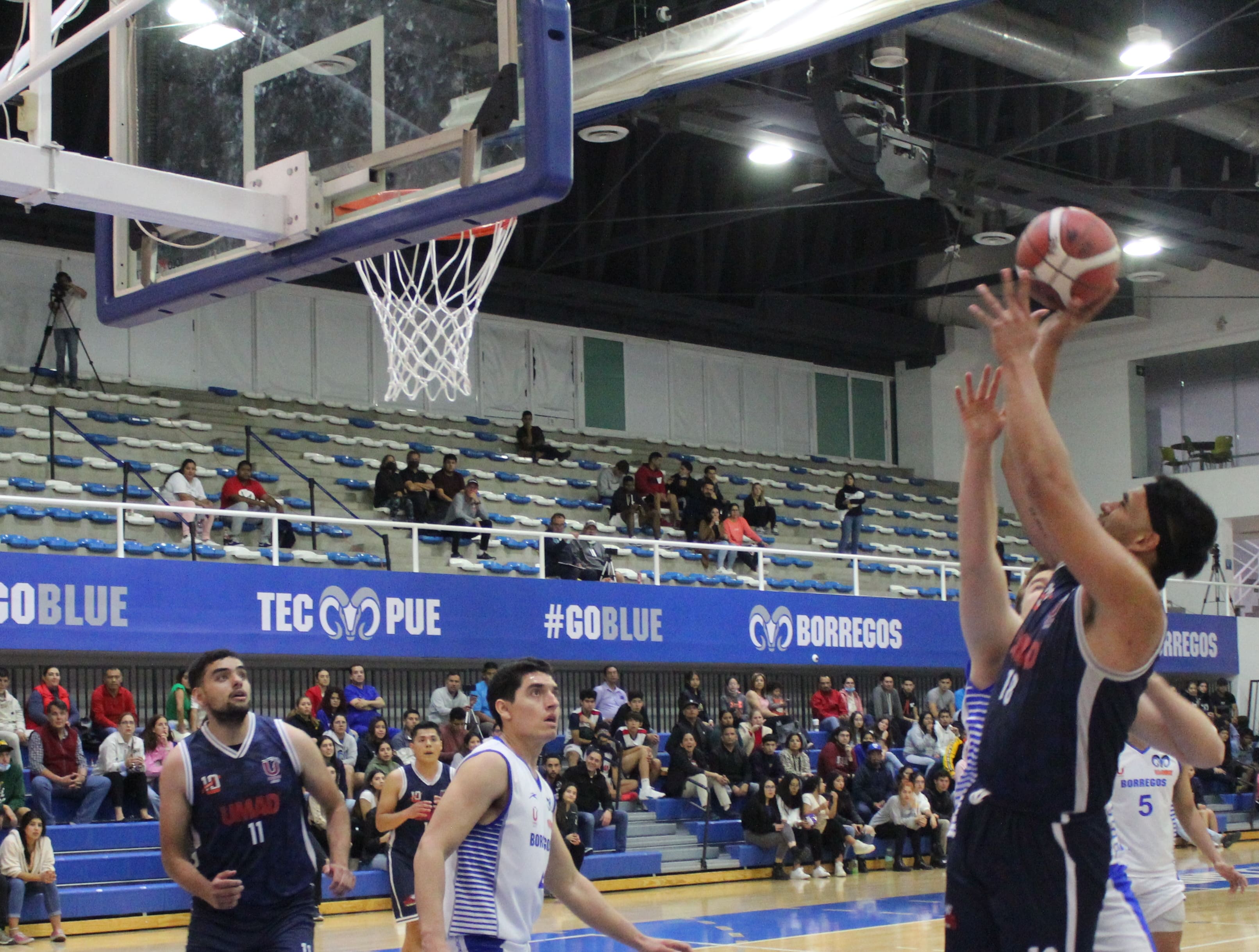 Tigres Blancos sueñan con el liderato
