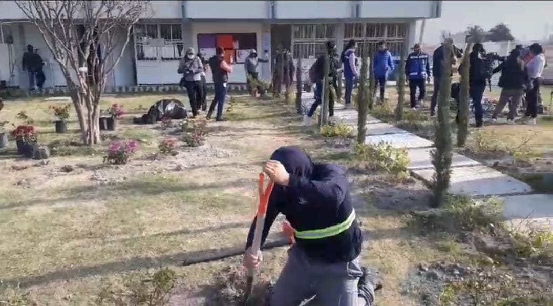 Ayuntamiento sanandreseño reinicia jornadas de reforestación 