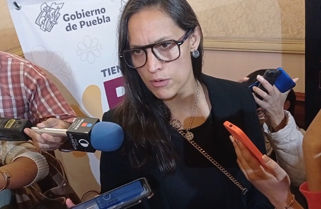 Aún no se ha confirmado la llegada de Anel Nochebuena en la Secretaría de Cultura