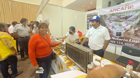 Produce Tlaxcala 30% de miel de todo México; capacitarán a productores