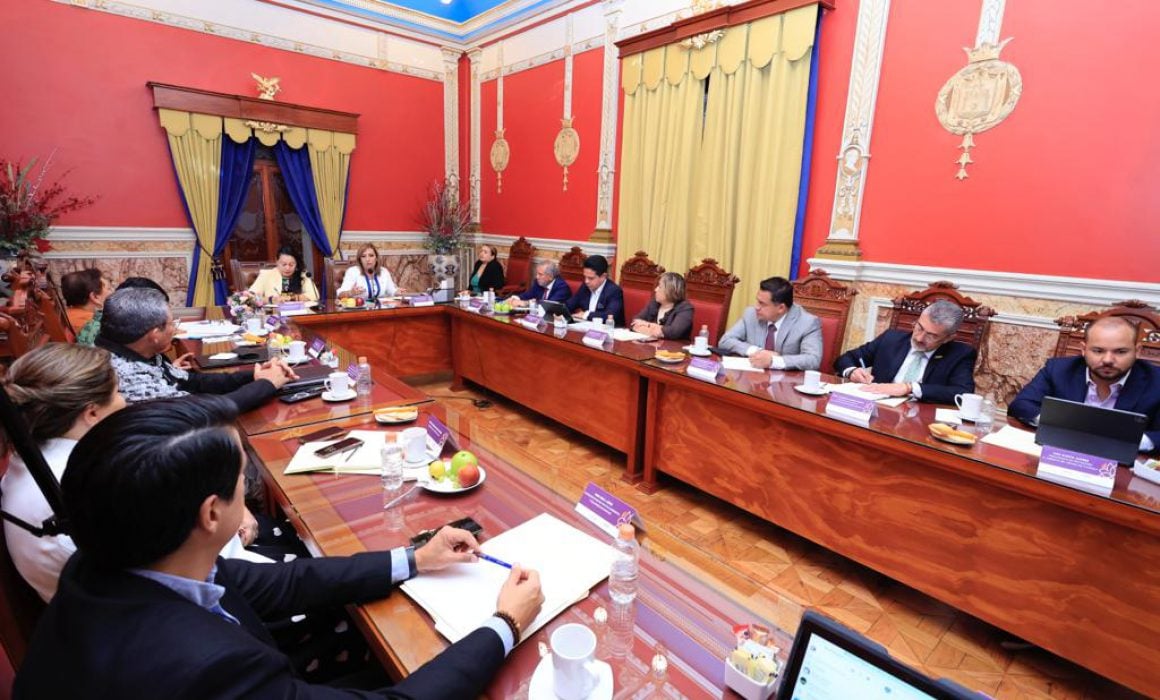 Refuerza gobierno Federal acciones contra tala clandestina en Tlaxcala