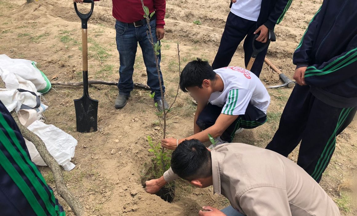 Realiza SMA jornada de seguimiento a 6 jardines polinizadores en Tetla