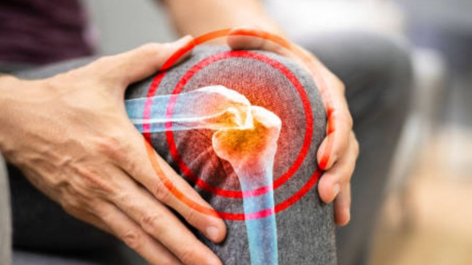 Conoce el alimento ideal para recuperar colágeno y regenerar el cartílago de las rodillas