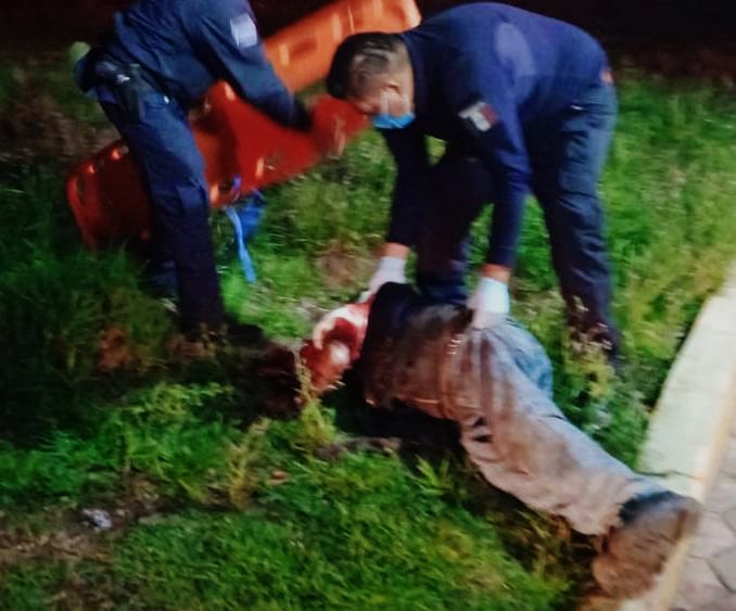 Muere hombre tras presunto ataque de jauría, en Teolocholco