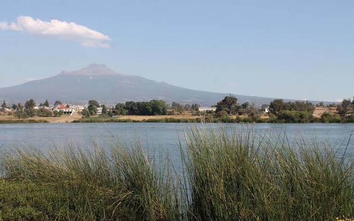 Activistas reciben amenazas para abandonar rescate de la laguna de Acuitlapilco