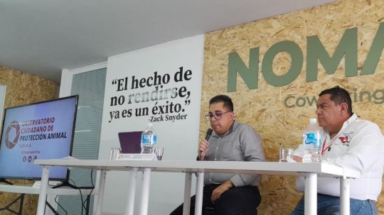Opacidad en 7 municipios: omiten presentar reglamento de protección animal