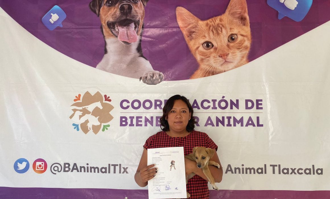 Atendió CBA 67 denuncias en el primer semestre de 2023