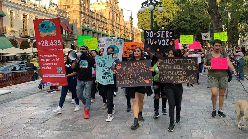 OCPA se deslinda de Marcha por los derechos de los Animales en Tlaxcala