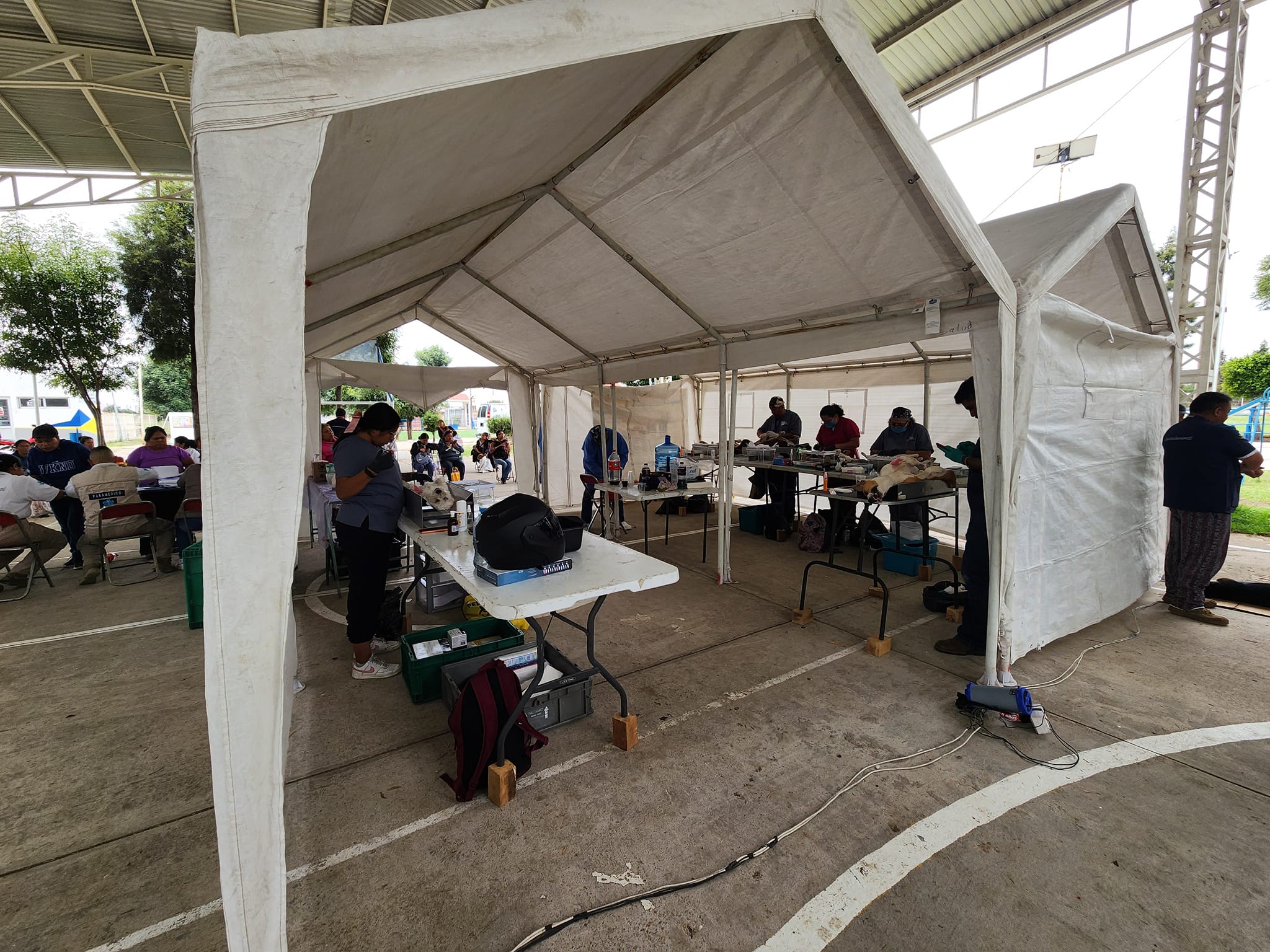 Con éxito se realiza jornada de Esterilización Canina y Felina en Coronango