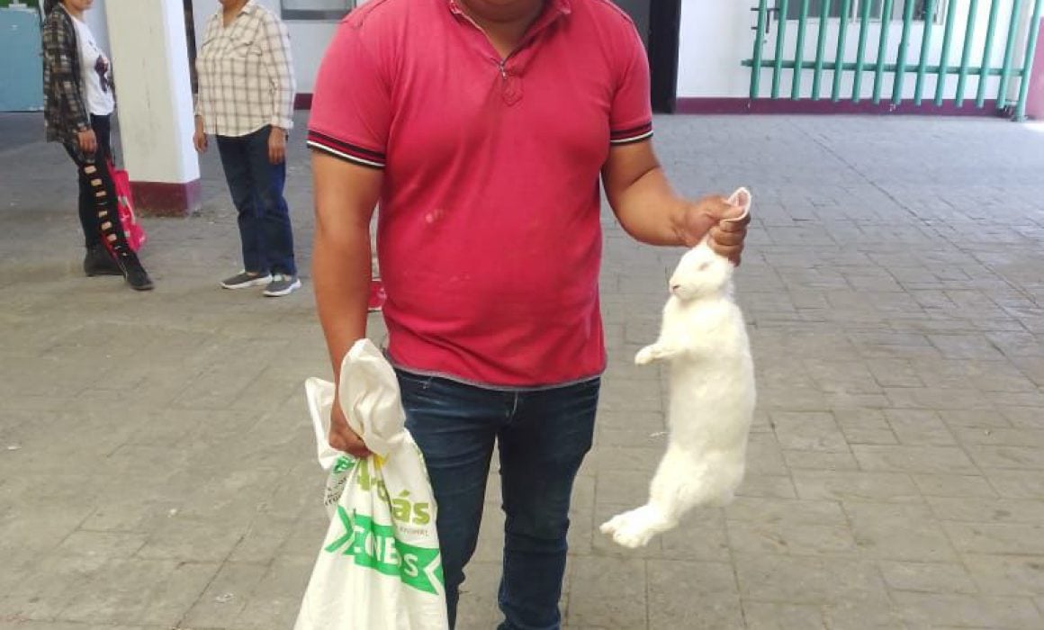 Beneficia Chiautempan a familias con paquetes de especies menores