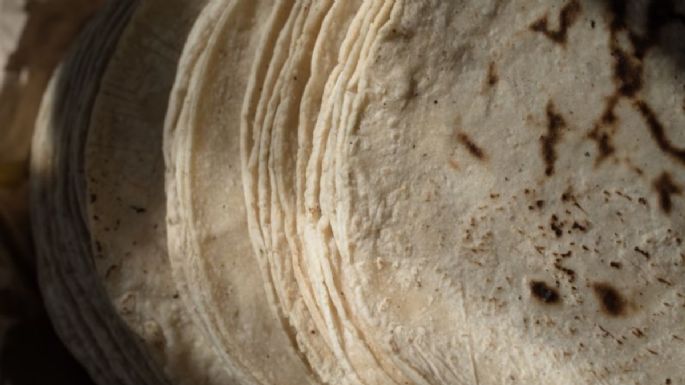 ¿La tortilla de maíz es más saludable que la de harina? Aquí te decimos la verdad