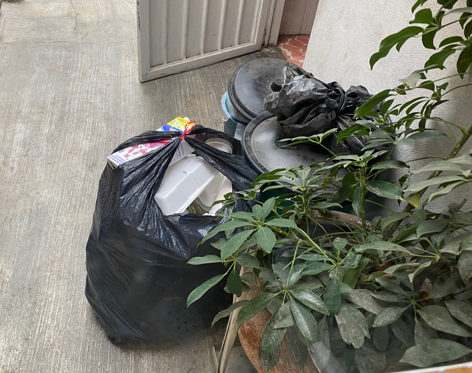 Recolectores de basura ya no podrán separar deshechos