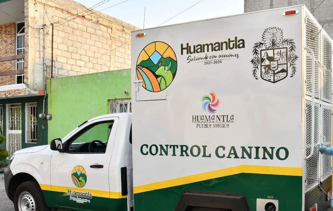 De nueva cuenta, envenenan canes en calles de Huamantla, Ayuntamiento ha sido omiso: Sin Maltrato