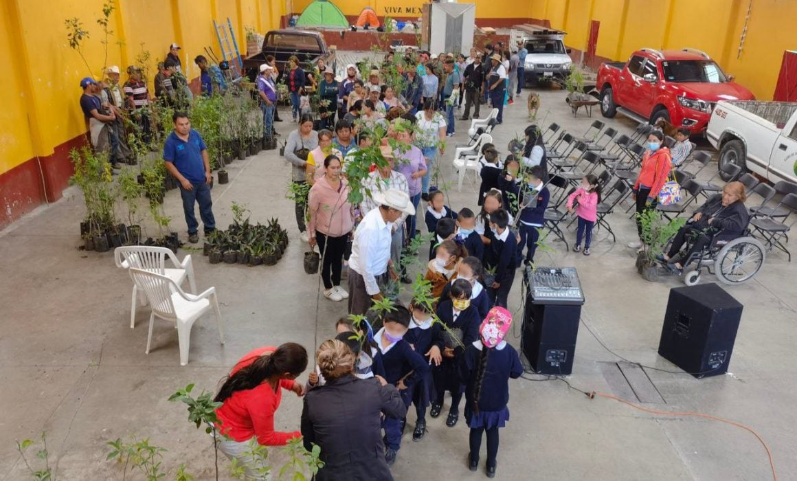 Realiza gobierno del estado donativo de árboles y magueyes en Calpulalpan