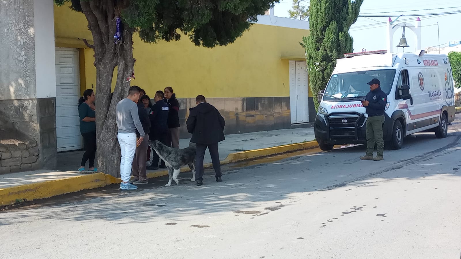 Atacan a balazos a director del SMDIF de Tlaltelulco: resultó ileso