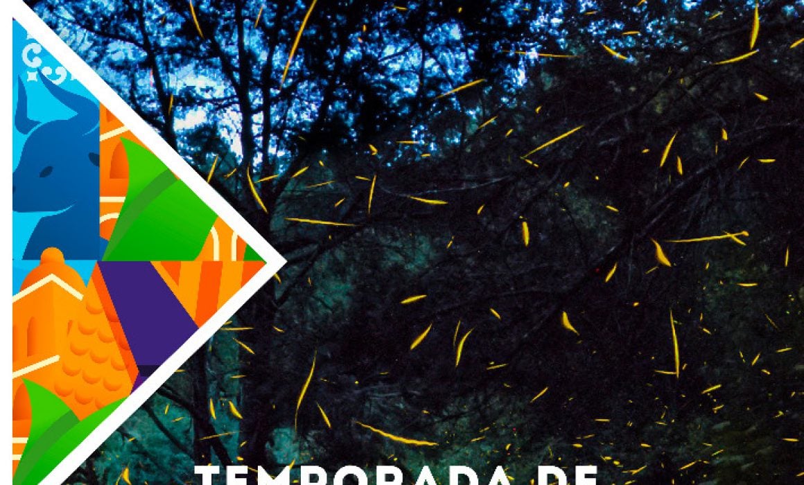 Lanza Secture campaña Tlaxcala Brilla 2023