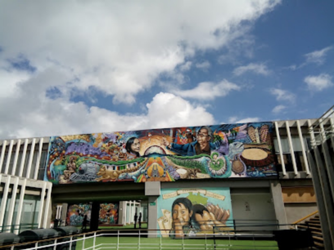 Directora de educación terminal ignora solicitud de docente, piden intervención de gobernadora