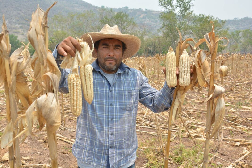 Factores económicos, principales problemas de productores agropecuarios en Tlaxcala