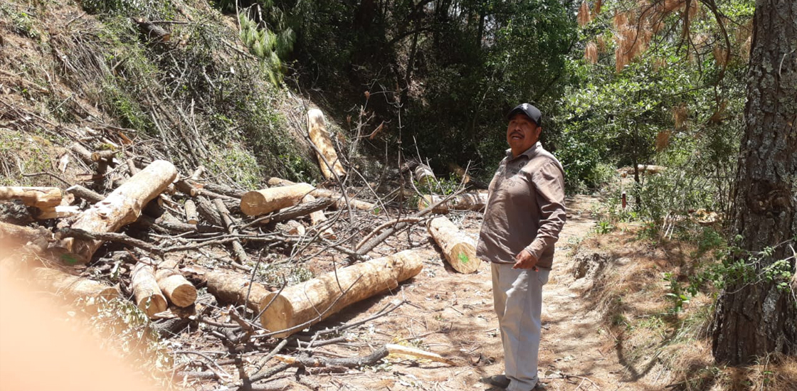 Saul Rosales y Raymundo Cahuantzi eran defensores del bosque, hoy inicia juicio oral