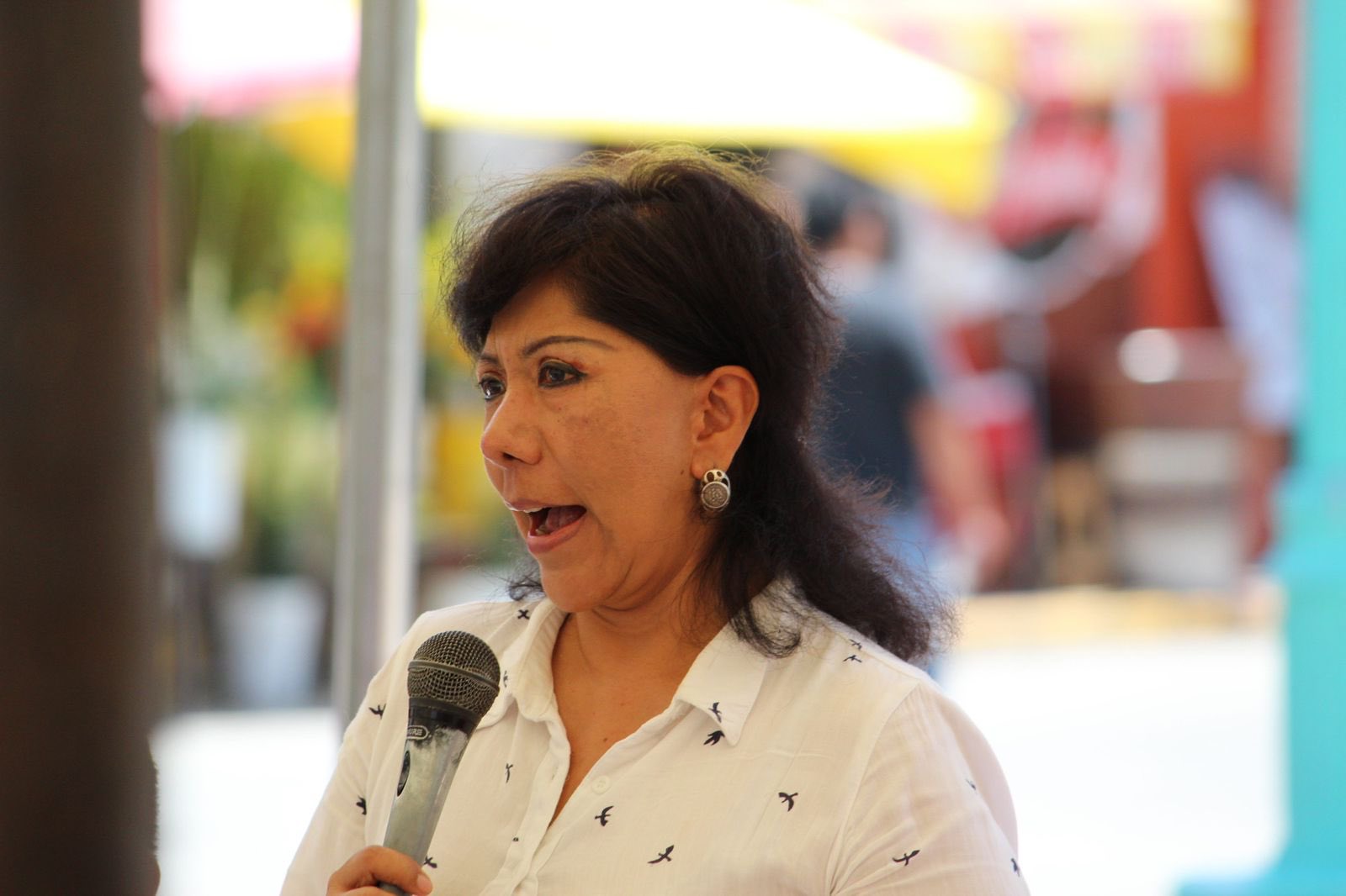 Sheinbaum y Noroña vulneraron ley electoral, acusa PRI Tlaxcala