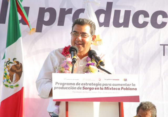 Anuncian inversión de 400 mdp para impulsar producción de agave mezcalero