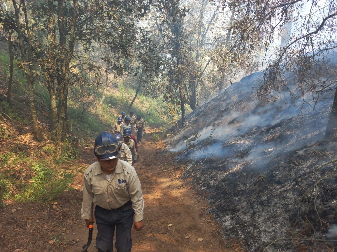 Controlaron autoridades incendios forestales en cuatro municipios