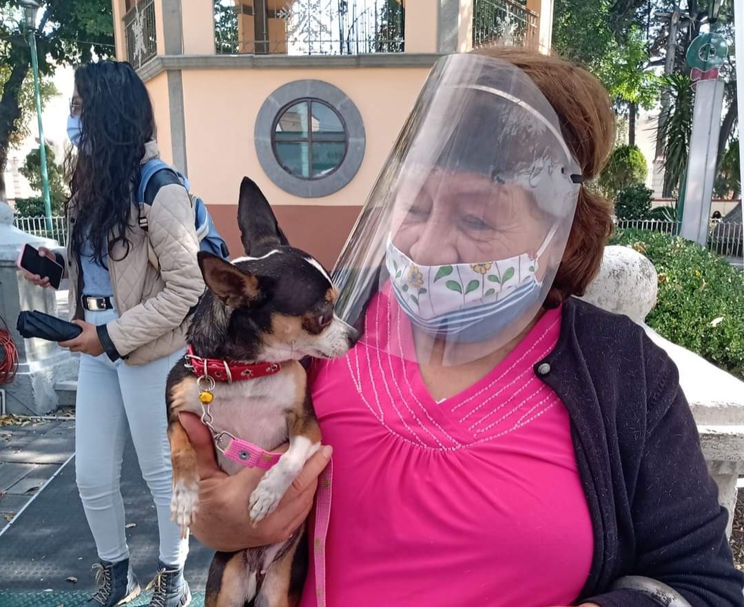 Apetatitlán se suma a publicar reglamento municipal de protección y bienestar animal