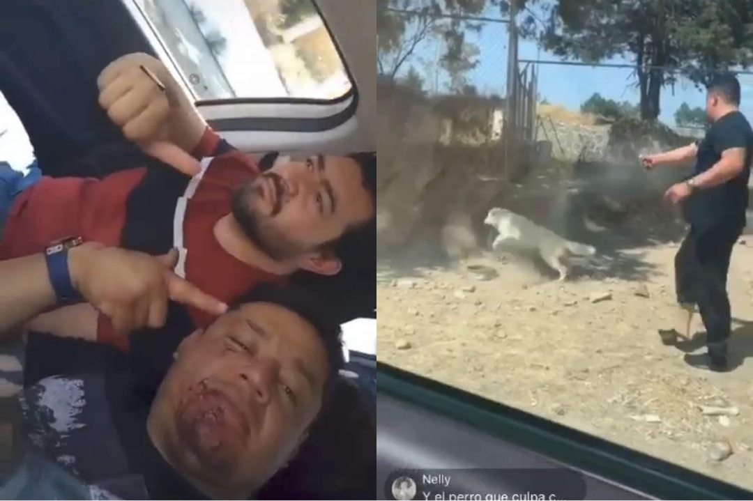 Identifican a sujeto que disparó contra perrito en Tetlatlahuca, fue candidato por el PVEM