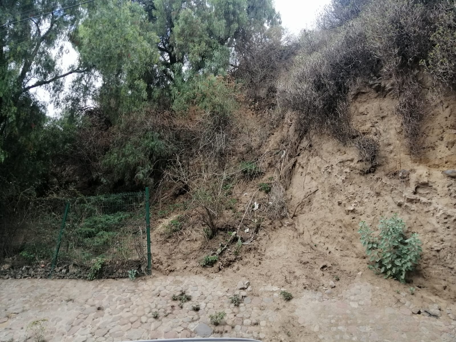 Rehabilita INAH malla del montículo “Teopizcalco” en San Pedro Cholula