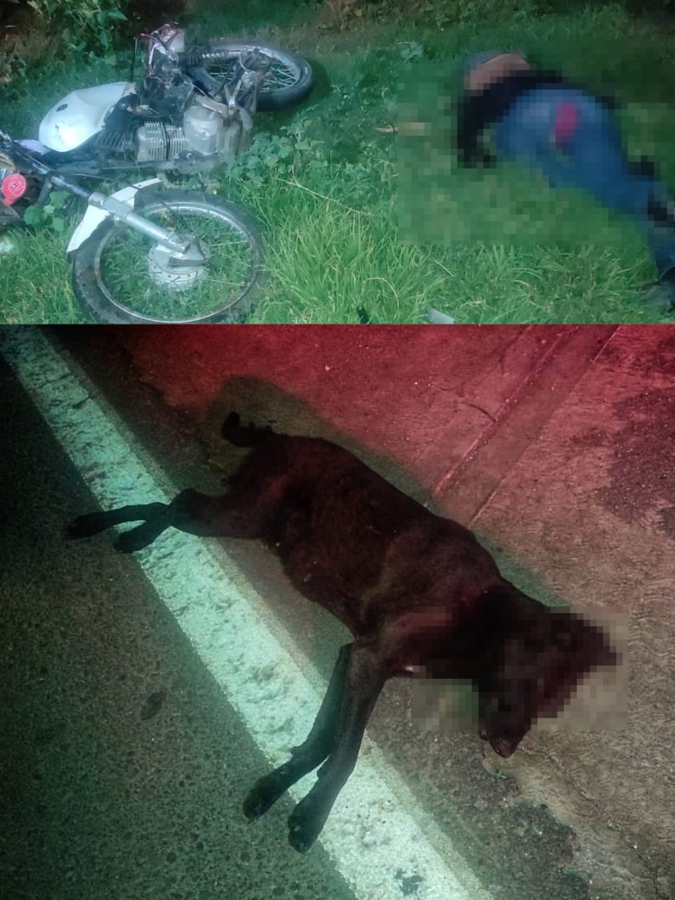 Fallece motociclista tras atropellar a un perro, en Tetlatlahuca