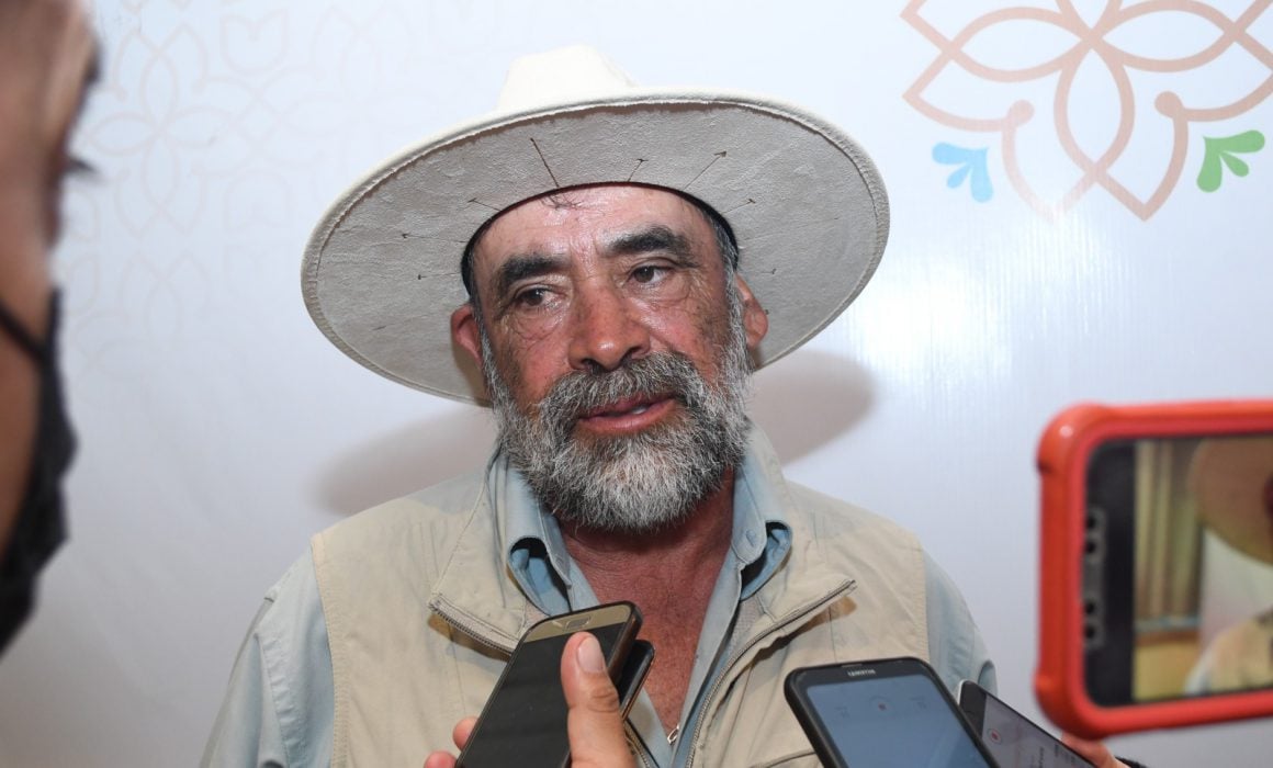 Disminuye precio del durazno Oro de Tlaxcala por afectación climática