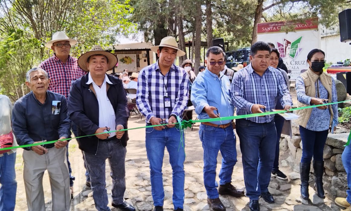 Cuenta SIA con 58 centros de impulso e innovación orgánica