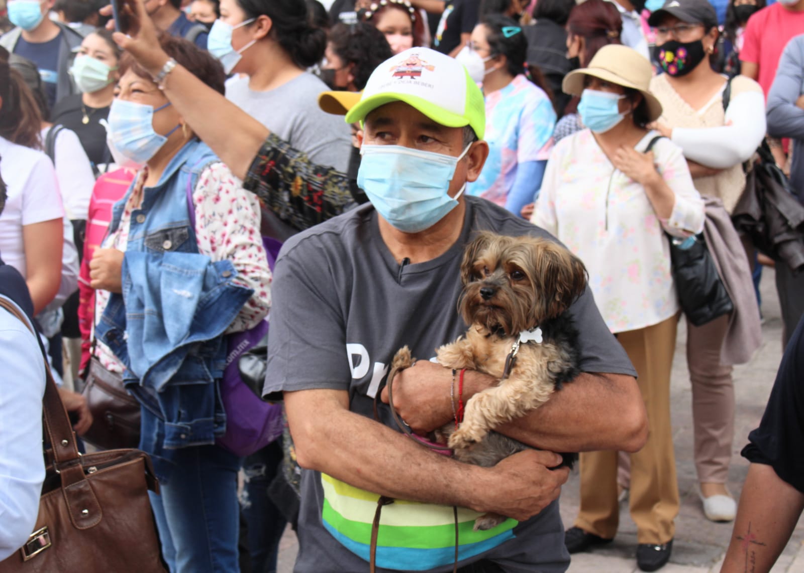 Registro único de mascotas de compañía aplicará para todo el estado