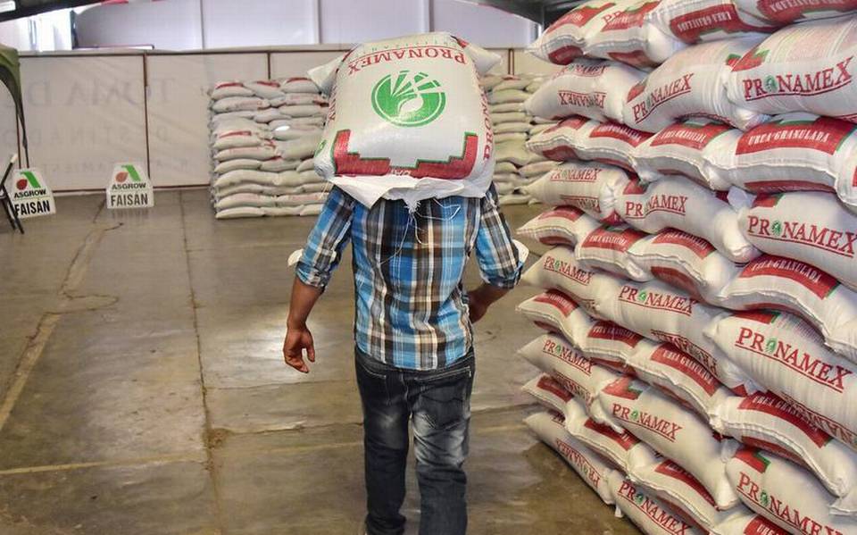 Al 70% entrega de fertilizante a campesinos: Secretario