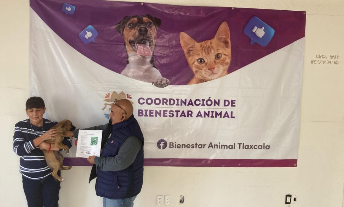 Inicia Bienestar Animal trámite de clave de registro de animales de compa