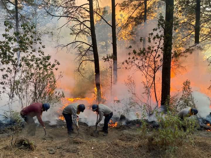 Incendio en Chiautempan consumió 84 hectáreas
