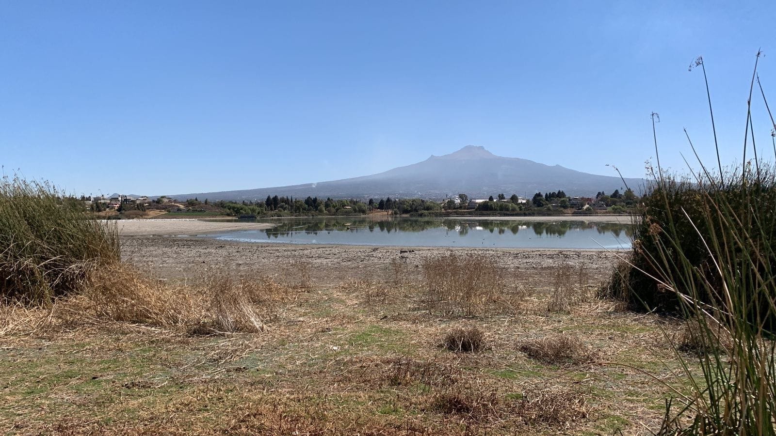 Alerta Patos Verdes por contaminación y sequía en laguna de Acuitlapilco