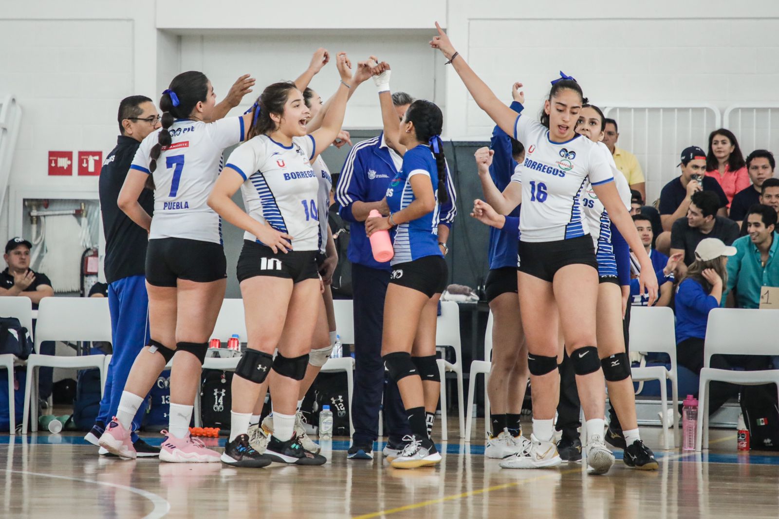 Borregos Puebla ya piensa en las finales 