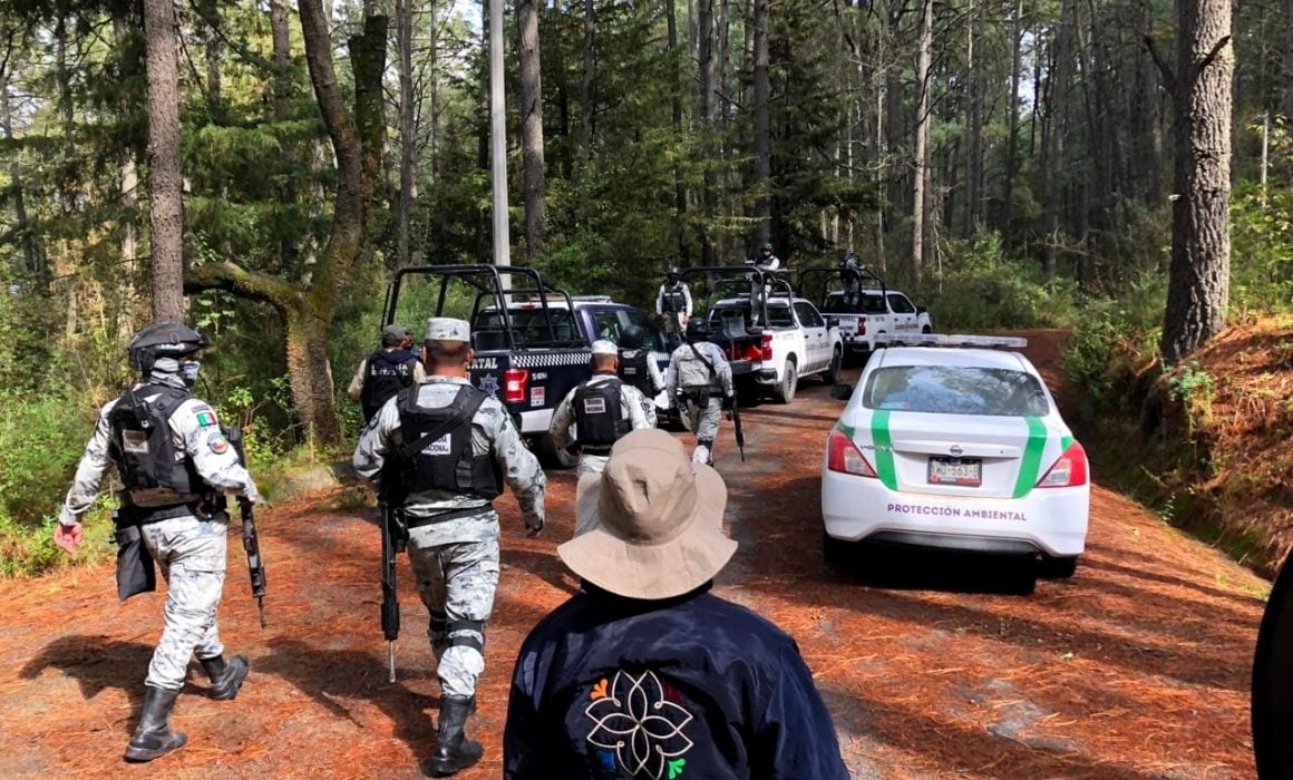 Avanza Tlaxcala en combate contra la tala clandestina