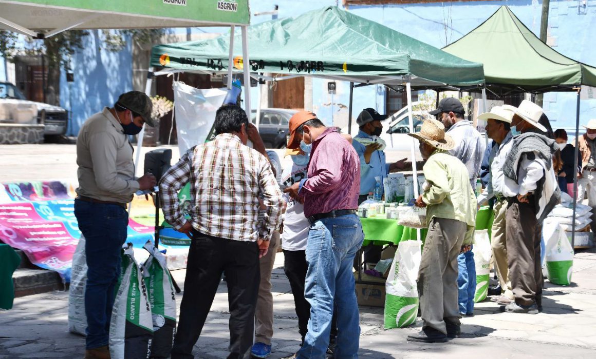 Invita Huamantla a participar en el segundo tianguis de semillas