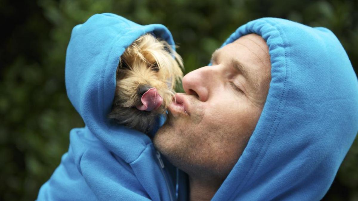 Tu mascota puede tener acta de nacimiento y CURP en estos estados