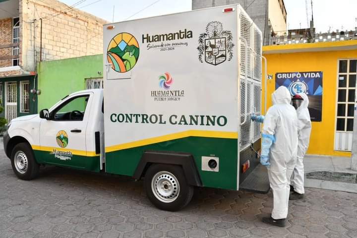 Da Huamantla seguimiento a casos por maltrato animal