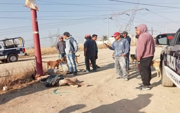 Atrapan y castigan a presunto ladrón en San Pablo del Monte 