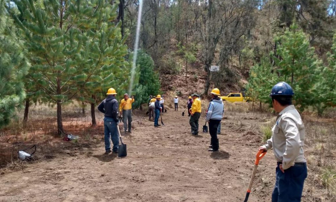Inicia SMA capacitación para manejo de fuego a ‘Guardianes del bosque’