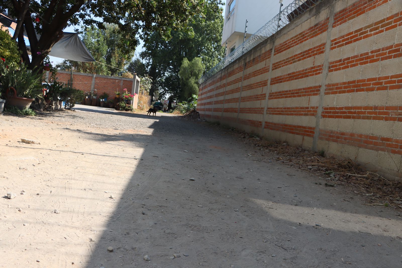 Arrancan trabajos de pavimentación en la privada Atoyac en la cabecera municipal en Cuautlancingo