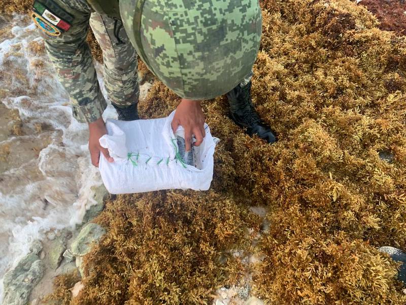 ¿'Nieve’ en el Caribe? Decomisan droga oculta entre el sargazo en playa de Quintana Roo