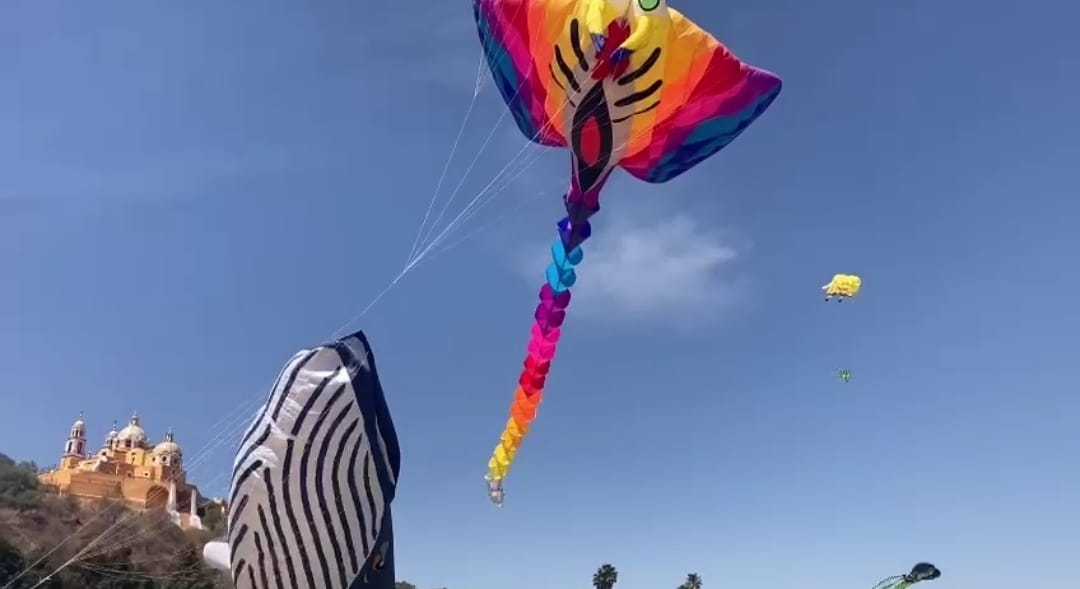“Festival Volarte 2023” hace suyo el cielo sanandreseño con coloridas y enormes figuras