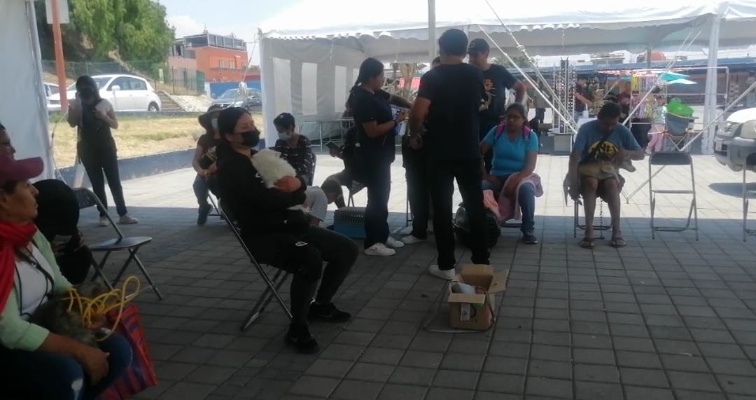 Bienestar Animal de San Pedro Cholula realiza jornada de esterilización masiva