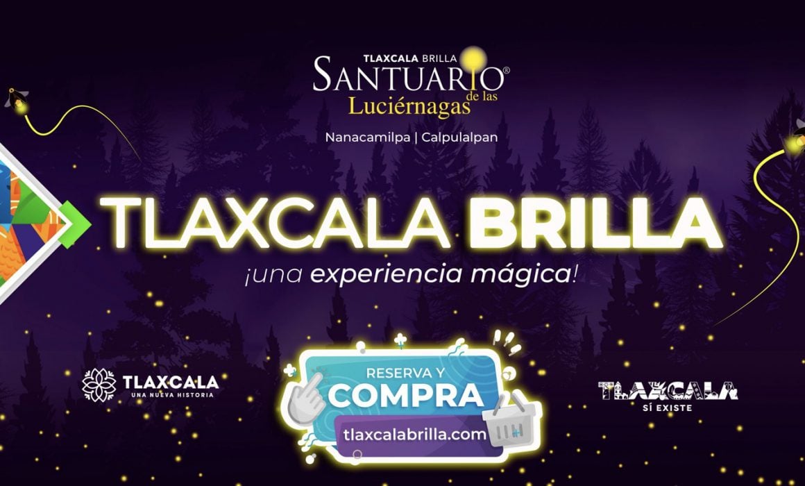 Anuncia Secture temporada de luciérnagas 2023 Tlaxcala Brilla